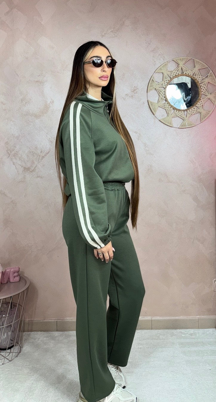 Completo Basic Linear